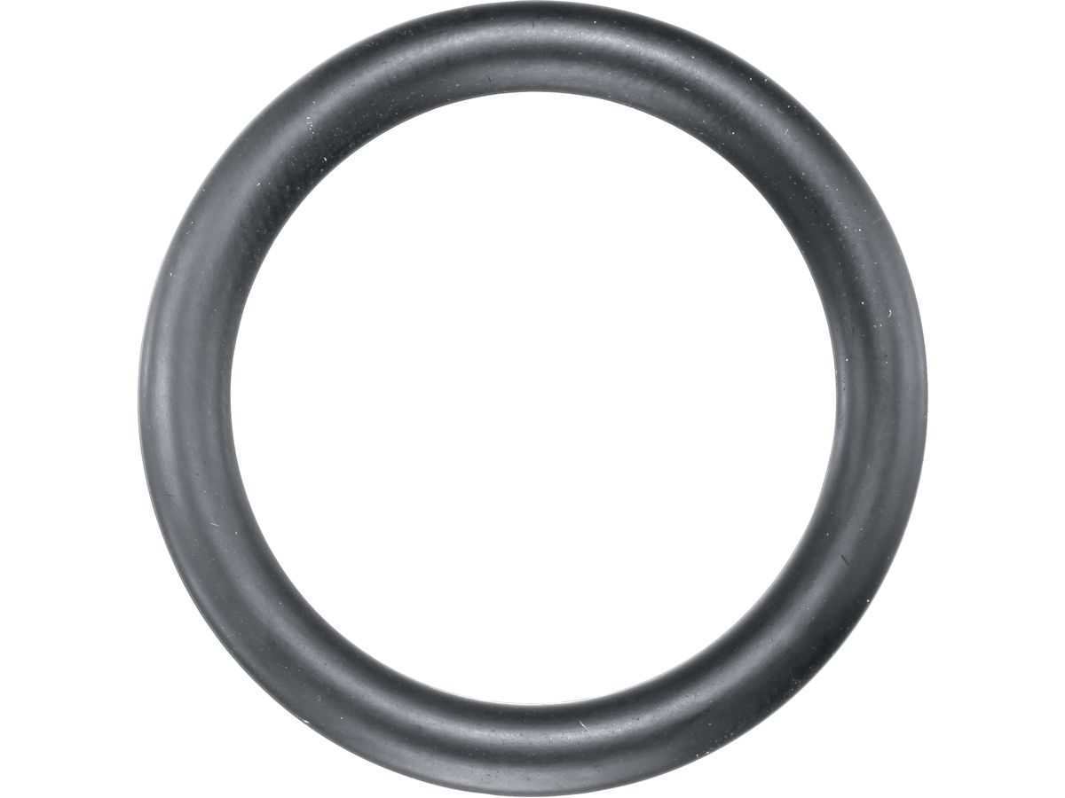 Power rubber ring 1/4" f. diam. 13mm ASW