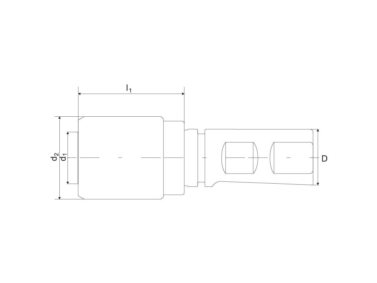 FORMAT EX Gewindeschneid-Schnellwechself DIN1835BE zylindrisch 25mm M6-20