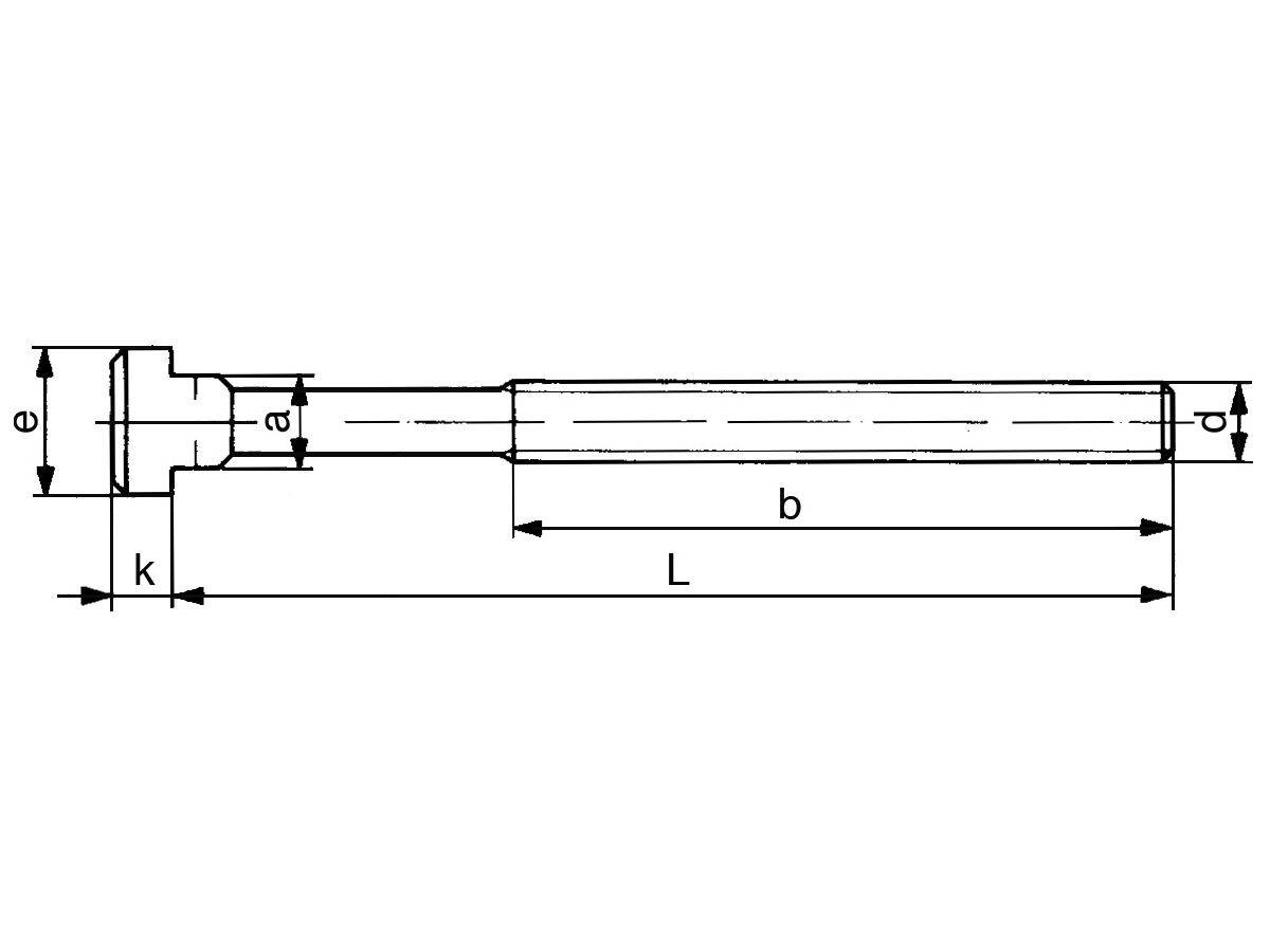 FORMAT Schraube für T-Nuten DIN787 M 12 x 14 x 125 mm komplett
